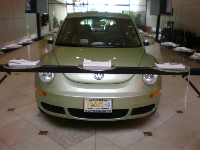 Volkswagen New Beetle